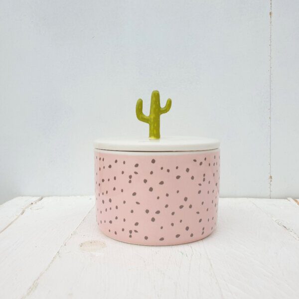 Urban Garden Cactus Jar